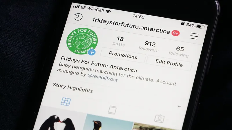 I organise a climate strike for baby penguins