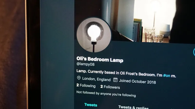 I made my lamp a social media personality