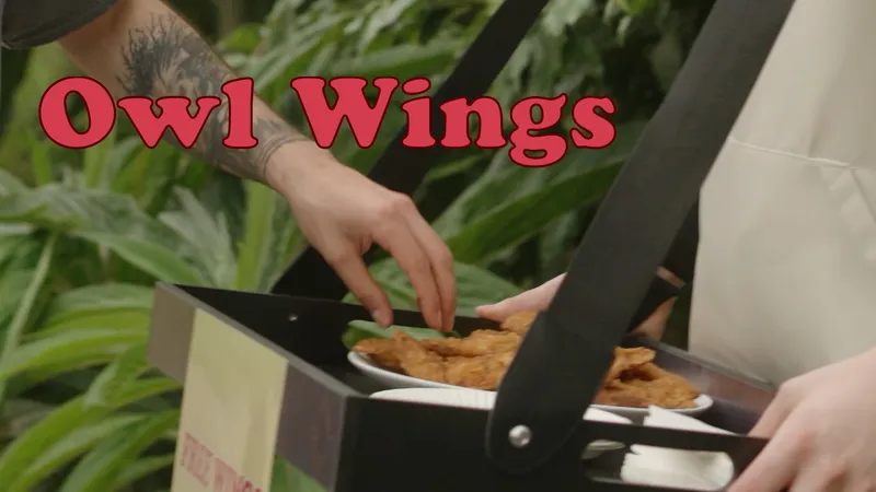 I fed people owl wings