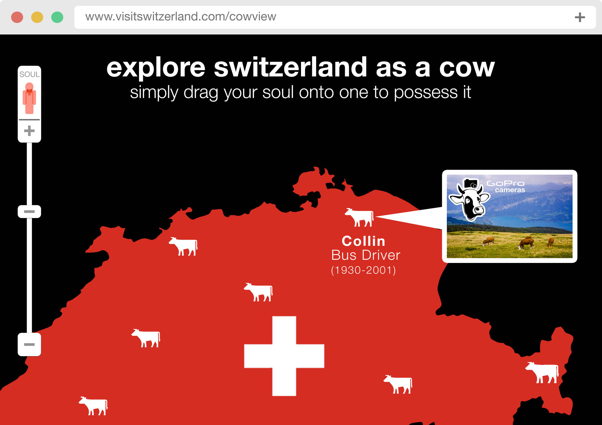 Swiss Cows 4