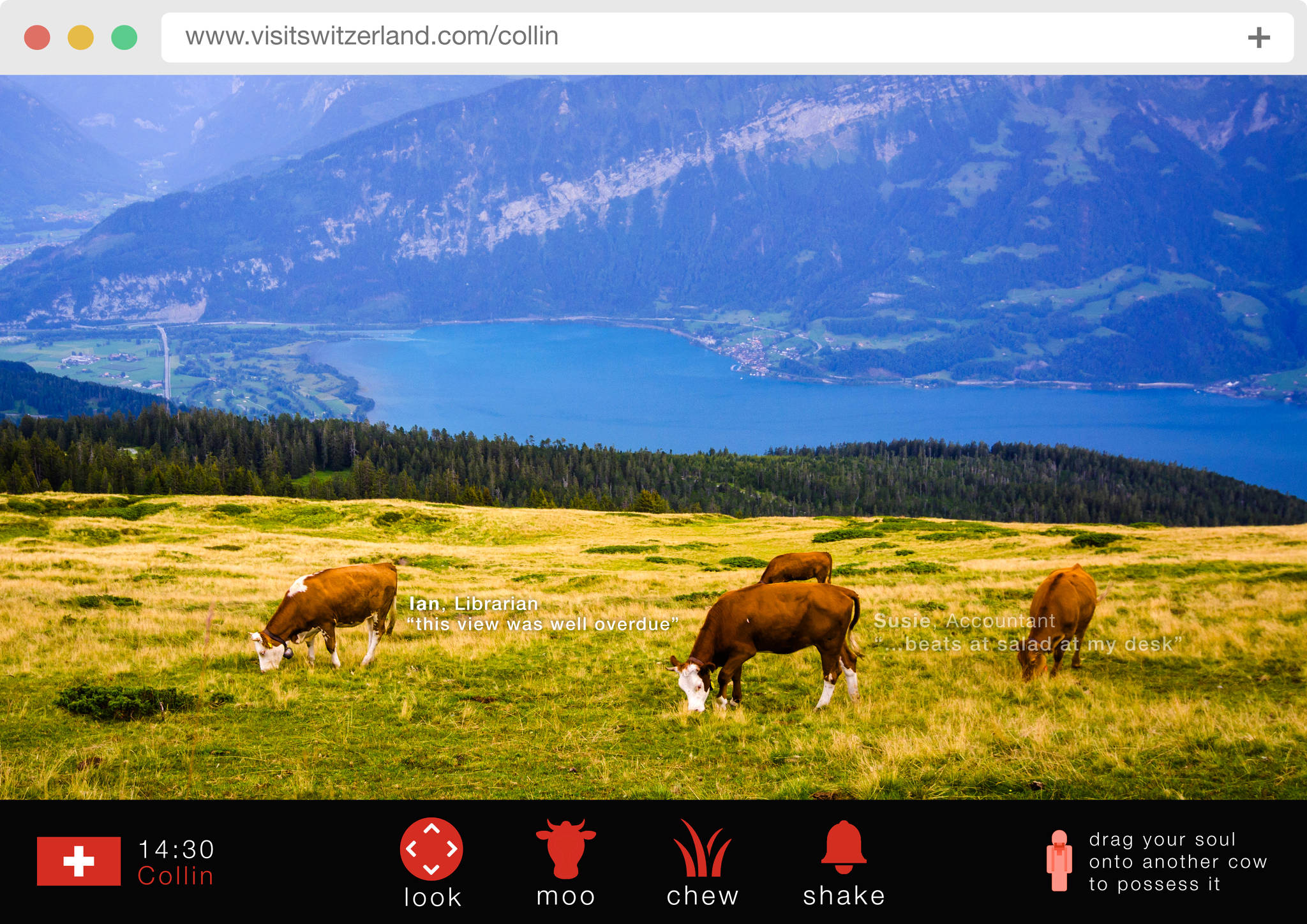 Swiss Cows 5